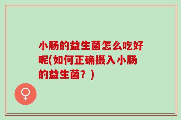 小肠的益生菌怎么吃好呢(如何正确摄入小肠的益生菌？)