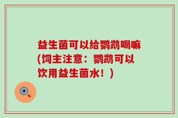 益生菌可以给鹦鹉喝嘛(饲主注意：鹦鹉可以饮用益生菌水！)