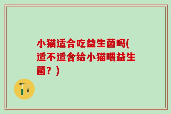 小猫适合吃益生菌吗(适不适合给小猫喂益生菌？)