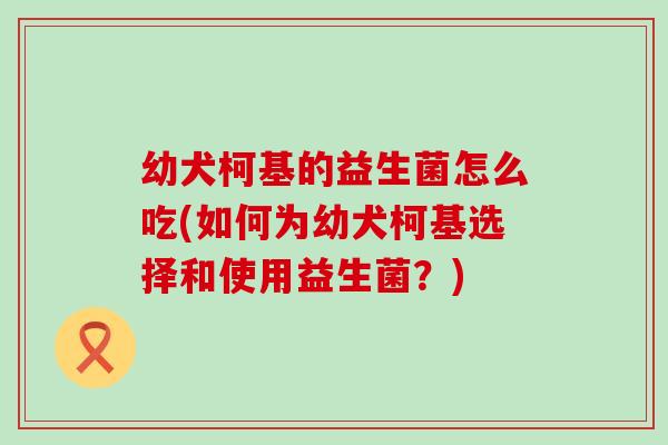 幼犬柯基的益生菌怎么吃(如何为幼犬柯基选择和使用益生菌？)