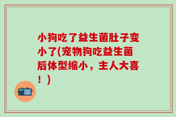小狗吃了益生菌肚子变小了(宠物狗吃益生菌后体型缩小，主人大喜！)
