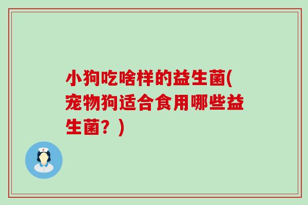 小狗吃啥样的益生菌(宠物狗适合食用哪些益生菌？)