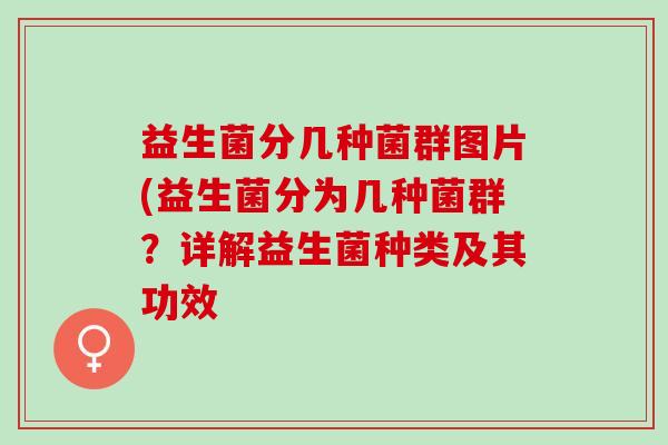 益生菌分几种菌群图片(益生菌分为几种菌群？详解益生菌种类及其功效
