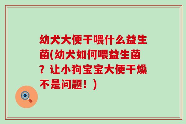 幼犬大便干喂什么益生菌(幼犬如何喂益生菌？让小狗宝宝大便干燥不是问题！)