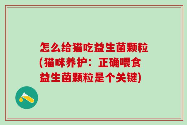 怎么给猫吃益生菌颗粒(猫咪养护：正确喂食益生菌颗粒是个关键)