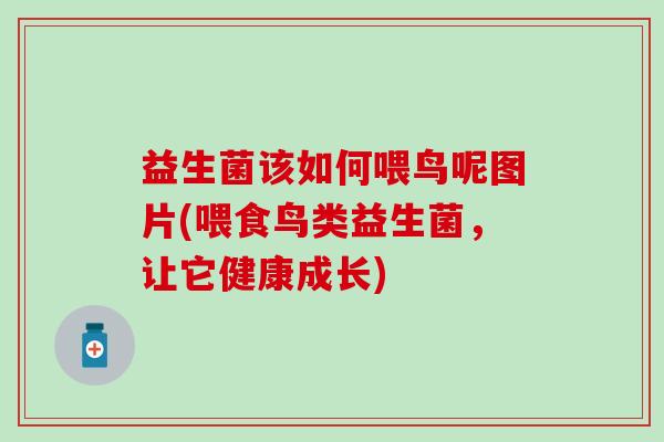 益生菌该如何喂鸟呢图片(喂食鸟类益生菌,让它健康成长) 益生菌该如何喂鸟呢图片(喂食鸟类益生菌,让它健康成长)