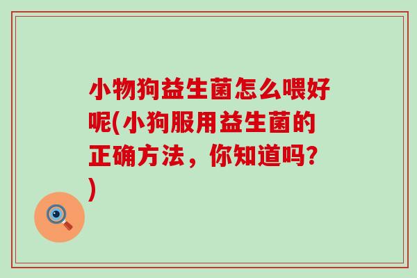 小物狗益生菌怎么喂好呢(小狗服用益生菌的正确方法,你知道吗?) 小物狗益生菌怎么喂好呢(小狗服用益生菌的正确方法,你知道吗?)