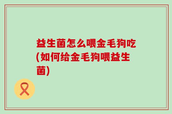 益生菌怎么喂金毛狗吃(如何给金毛狗喂益生菌)
