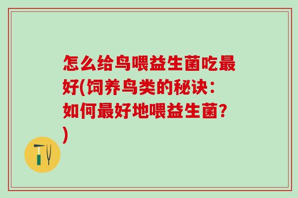 怎么给鸟喂益生菌吃好(饲养鸟类的秘诀：如何好地喂益生菌？)
