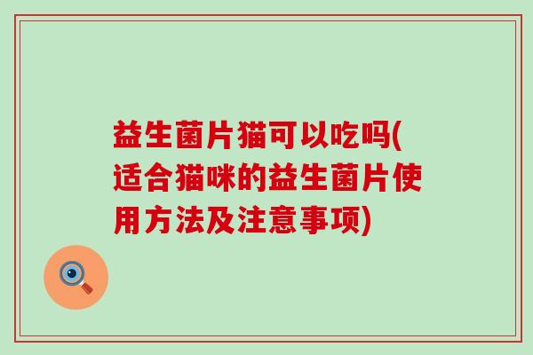 益生菌片猫可以吃吗(适合猫咪的益生菌片使用方法及注意事项)