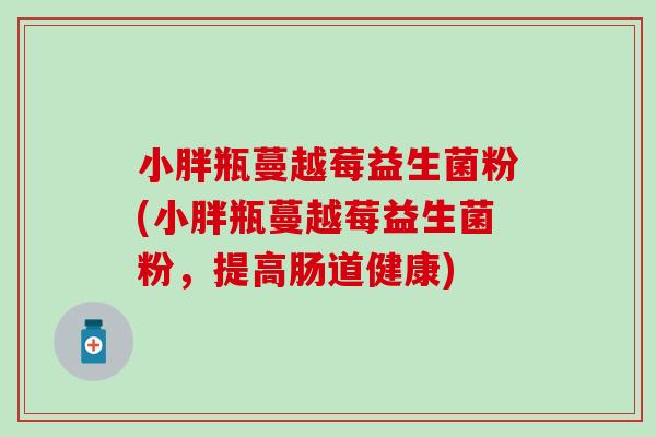 小胖瓶蔓越莓益生菌粉(小胖瓶蔓越莓益生菌粉，提高肠道健康)