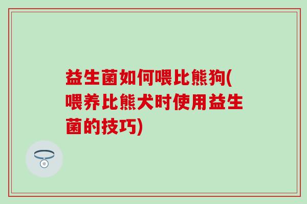 益生菌如何喂比熊狗(喂养比熊犬时使用益生菌的技巧)
