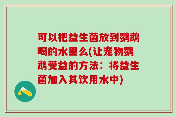 可以把益生菌放到鹦鹉喝的水里么(让宠物鹦鹉受益的方法：将益生菌加入其饮用水中)