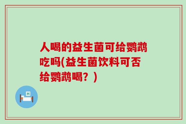 人喝的益生菌可给鹦鹉吃吗(益生菌饮料可否给鹦鹉喝？)