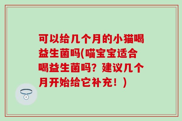 可以给几个月的小猫喝益生菌吗(喵宝宝适合喝益生菌吗？建议几个月开始给它补充！)