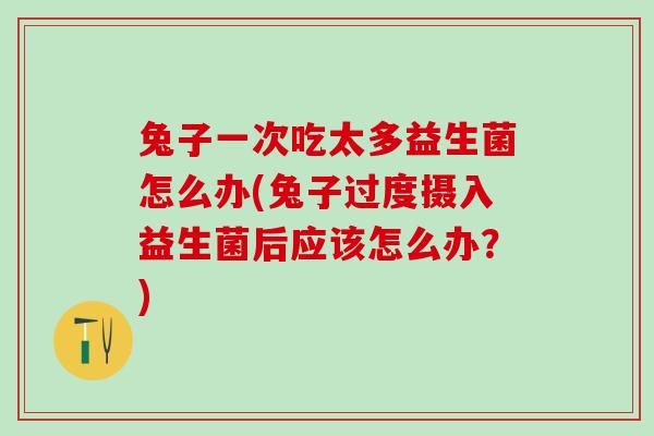 兔子一次吃太多益生菌怎么办(兔子过度摄入益生菌后应该怎么办？)