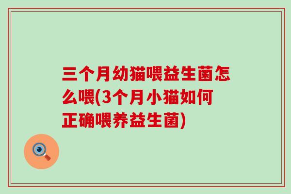 三个月幼猫喂益生菌怎么喂(3个月小猫如何正确喂养益生菌)