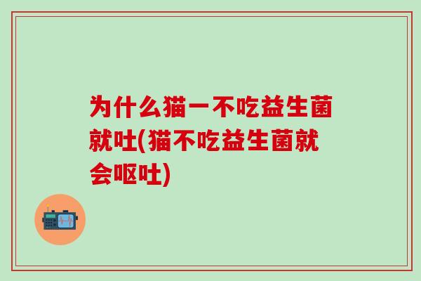 为什么猫一不吃益生菌就吐(猫不吃益生菌就会)