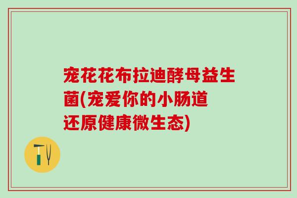 宠花花布拉迪酵母益生菌(宠爱你的小肠道 还原健康微生态)