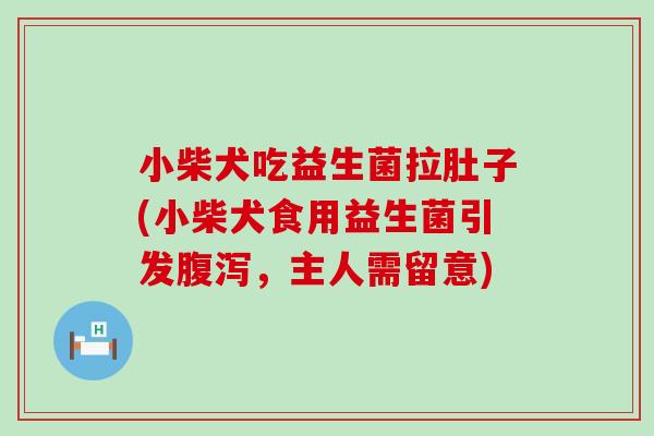 小柴犬吃益生菌拉肚子(小柴犬食用益生菌引发，主人需留意)