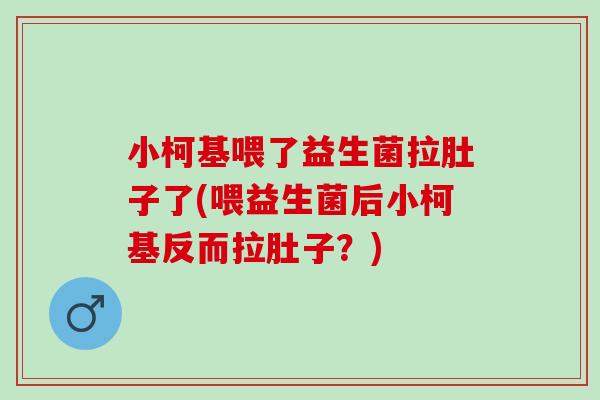 小柯基喂了益生菌拉肚子了(喂益生菌后小柯基反而拉肚子？)