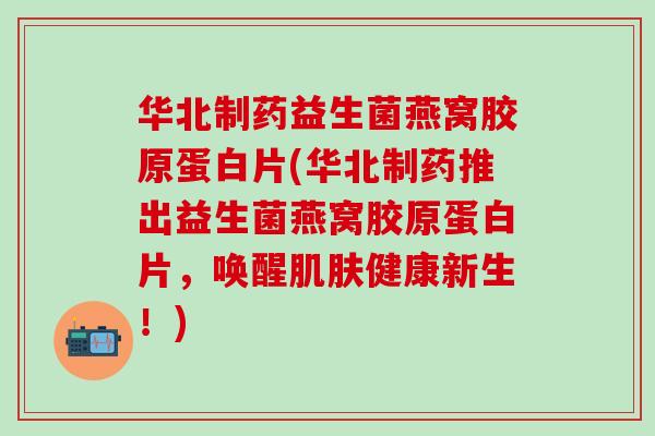 华北制药益生菌燕窝胶原蛋白片(华北制药推出益生菌燕窝胶原蛋白片，唤醒健康新生！)