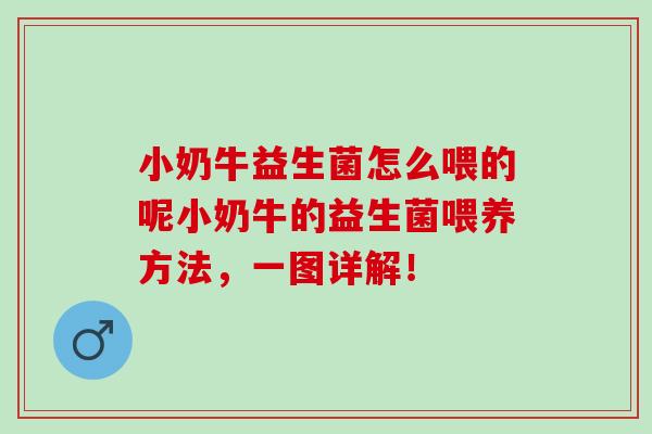 小奶牛益生菌怎么喂的呢小奶牛的益生菌喂养方法，一图详解！
