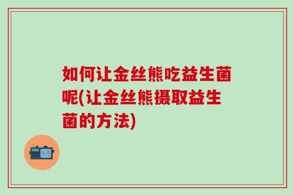 如何让金丝熊吃益生菌呢(让金丝熊摄取益生菌的方法)