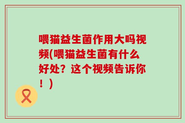 喂猫益生菌作用大吗视频(喂猫益生菌有什么好处？这个视频告诉你！)