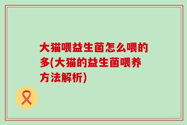 大猫喂益生菌怎么喂的多(大猫的益生菌喂养方法解析)
