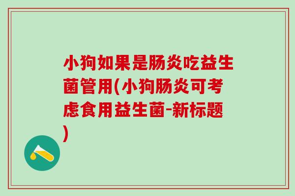 小狗如果是吃益生菌管用(小狗可考虑食用益生菌-新标题)