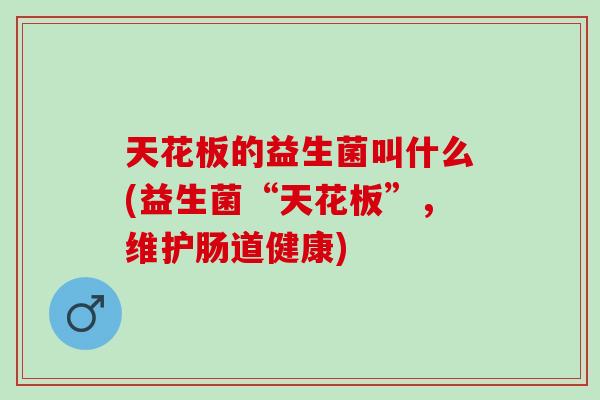 天花板的益生菌叫什么(益生菌“天花板”,维护肠道健康) 天花板的益生菌叫什么(益生菌“天花板”,维护肠道健康)