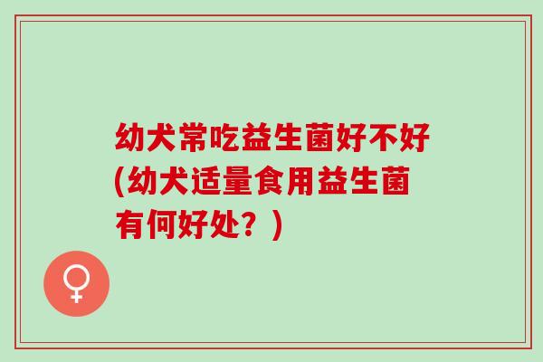幼犬常吃益生菌好不好(幼犬适量食用益生菌有何好处？)