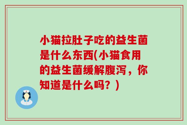 小猫拉肚子吃的益生菌是什么东西(小猫食用的益生菌缓解，你知道是什么吗？)