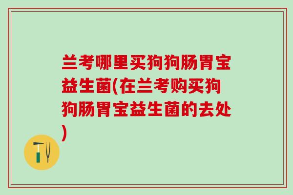 兰考哪里买狗狗肠胃宝益生菌(在兰考购买狗狗肠胃宝益生菌的去处)