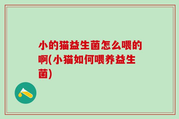 小的猫益生菌怎么喂的啊(小猫如何喂养益生菌)