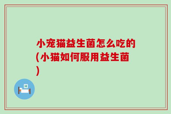 小宠猫益生菌怎么吃的(小猫如何服用益生菌)