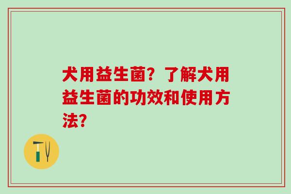 犬用益生菌？了解犬用益生菌的功效和使用方法？