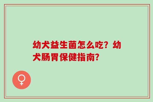 幼犬益生菌怎么吃？幼犬肠胃保健指南？