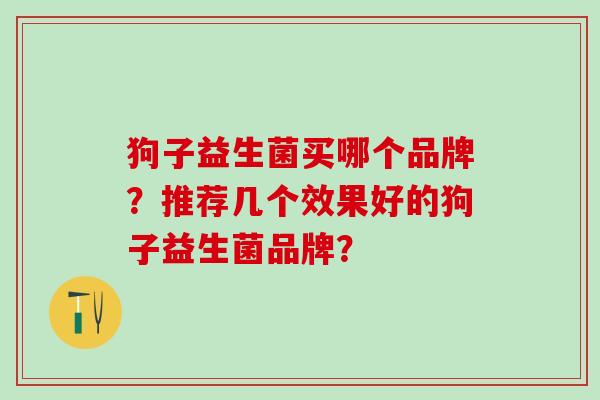 狗子益生菌买哪个品牌？推荐几个效果好的狗子益生菌品牌？