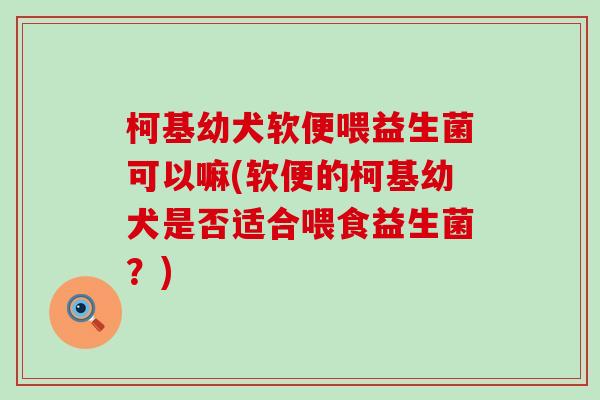 柯基幼犬软便喂益生菌可以嘛(软便的柯基幼犬是否适合喂食益生菌？)