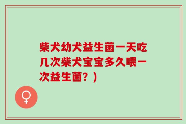 柴犬幼犬益生菌一天吃几次柴犬宝宝多久喂一次益生菌？)