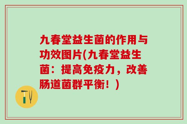 九春堂益生菌的作用与功效图片(九春堂益生菌：提高力，改善肠道菌群平衡！)