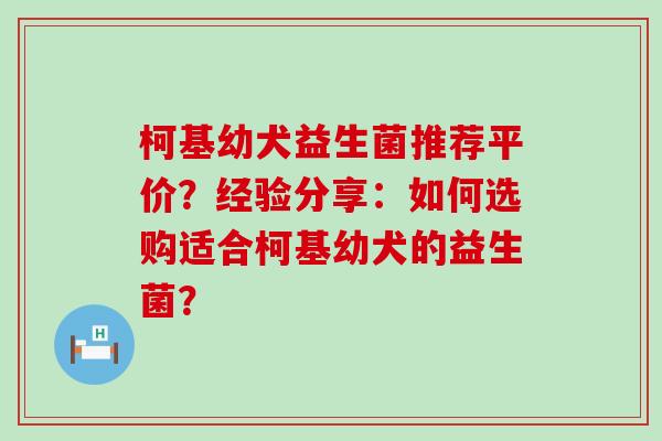 柯基幼犬益生菌推荐平价？经验分享：如何选购适合柯基幼犬的益生菌？