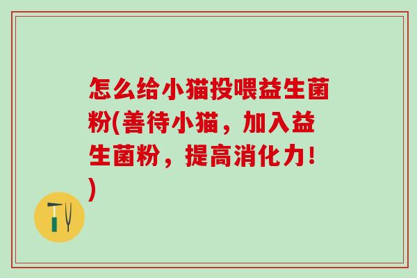 怎么给小猫投喂益生菌粉(善待小猫，加入益生菌粉，提高消化力！)