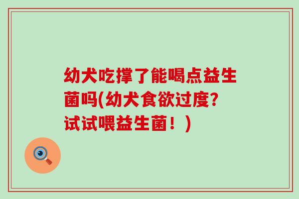 幼犬吃撑了能喝点益生菌吗(幼犬过度？试试喂益生菌！)