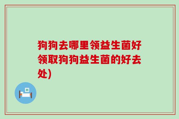 狗狗去哪里领益生菌好领取狗狗益生菌的好去处)