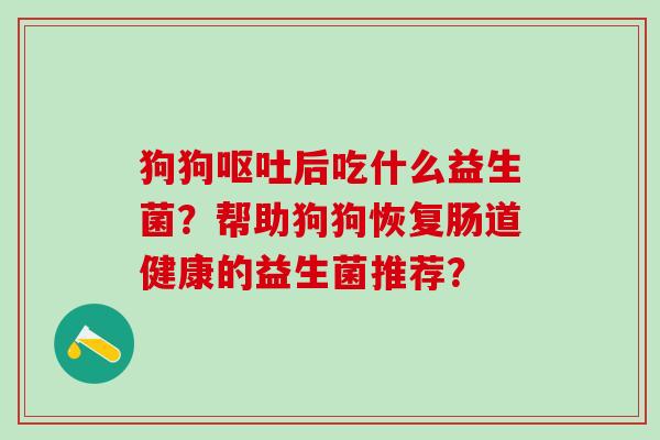 狗狗后吃什么益生菌？帮助狗狗恢复肠道健康的益生菌推荐？