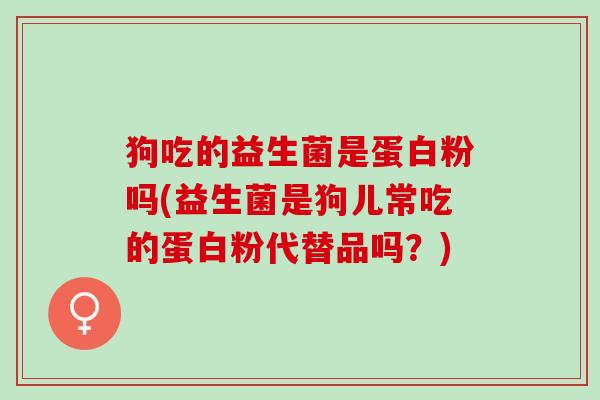 狗吃的益生菌是蛋白粉吗(益生菌是狗儿常吃的蛋白粉代替品吗？)