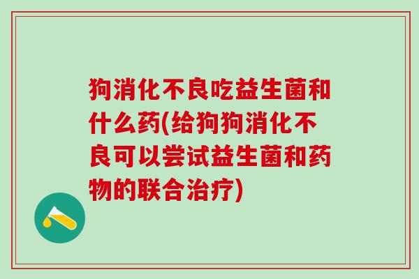 狗吃益生菌和什么药(给狗狗可以尝试益生菌和的联合)